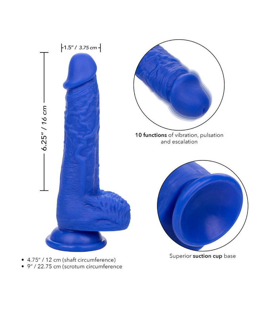 CALEXOTICS - ADMIRAL VIBRATORE DILDO REALISTICO SAILOR BLU