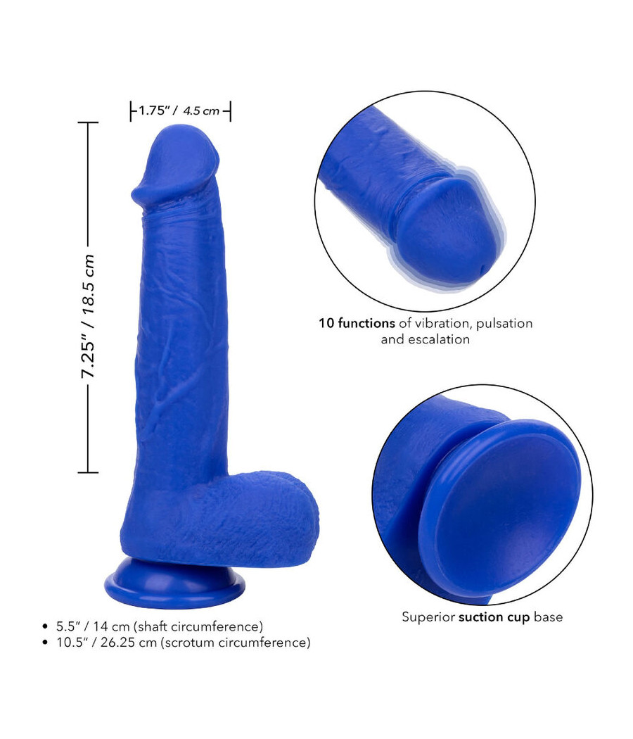 CALEXOTICS - ADMIRAL CAPTAIN REALISTIC DILDO VIBRADOR AZUL