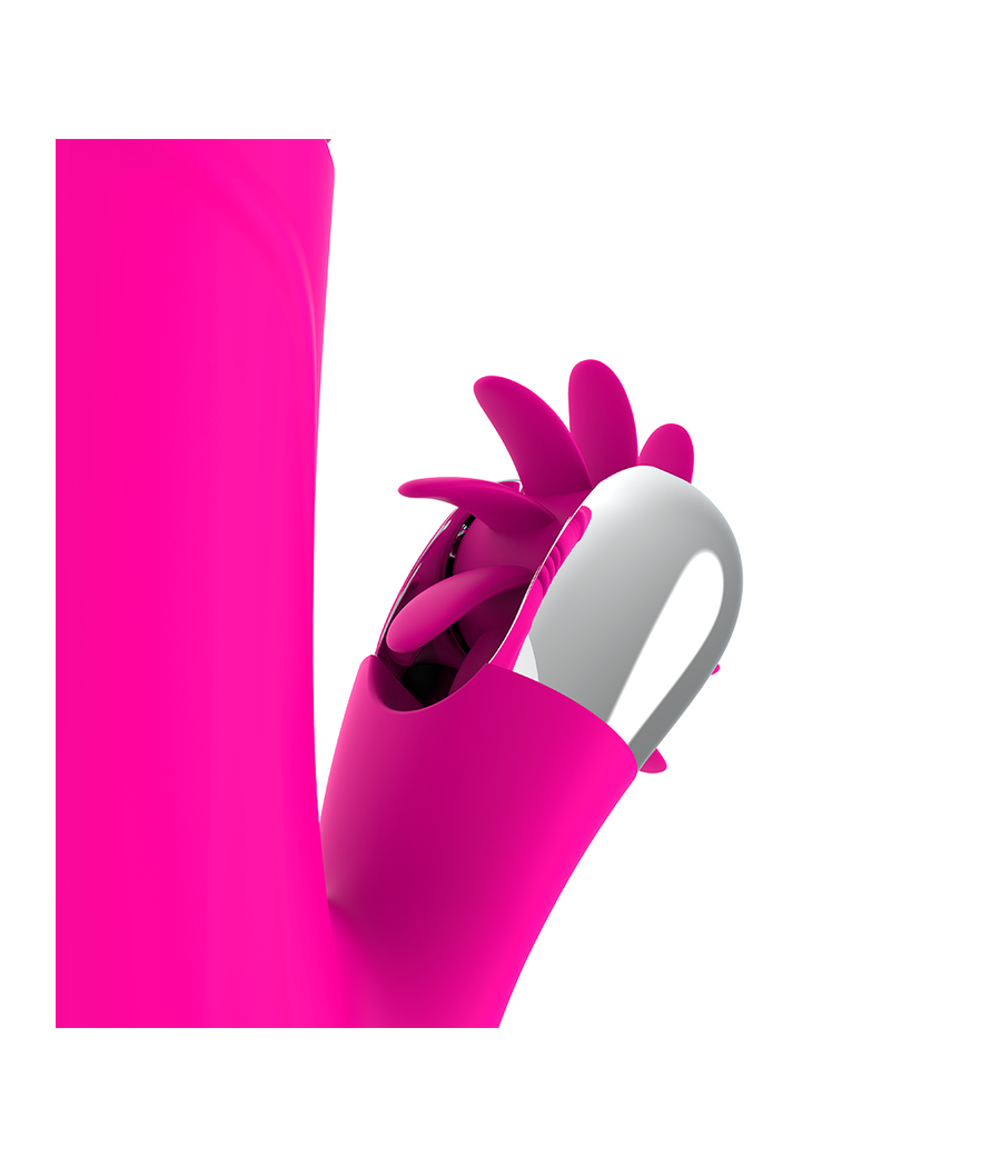 DIVERSIA - HASE OBEN & UNTEN 24 CM