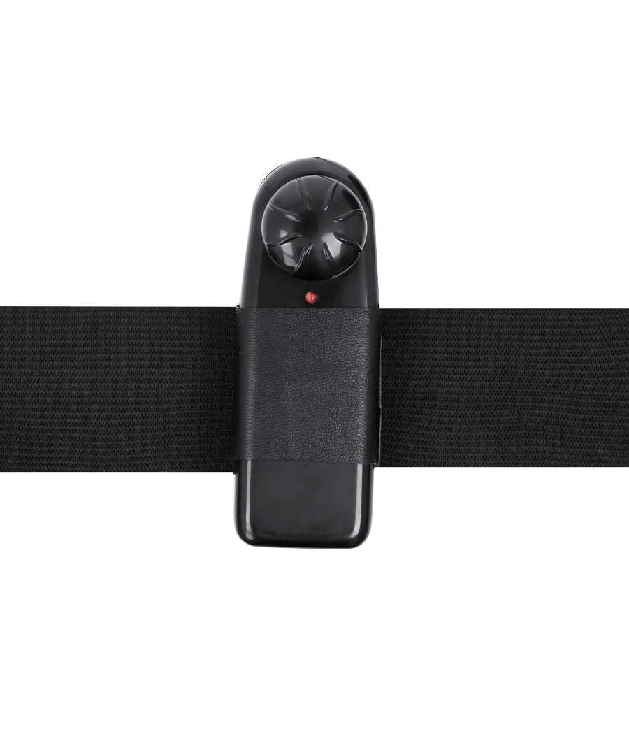 HARNESS ATTRACTION - RNES HOLLOW BENNY CON VIBRATORE 15 CM -O- 4.5 CM