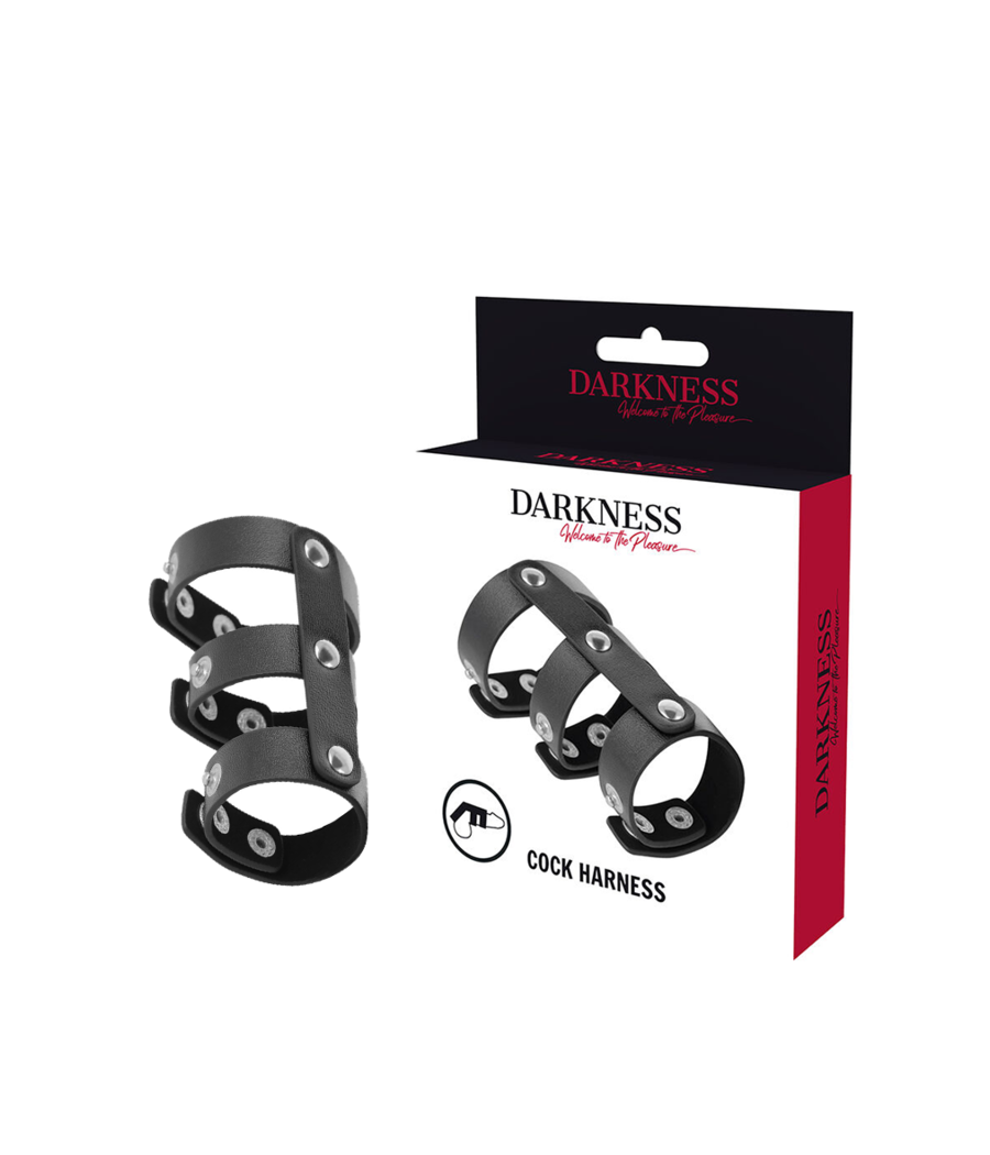 DARKNESS - VERSTELLBARER DOPPEL-PENIS- UND HODENRING AUS LEDER