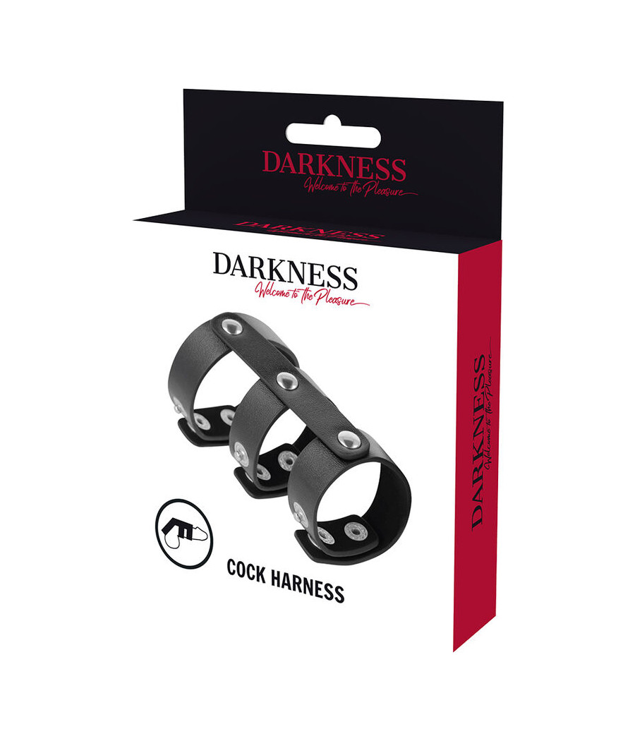 DARKNESS - DOUBLE ANNEAU DE PÉNIS ET TESTICULES EN CUIR RÉGLABLE