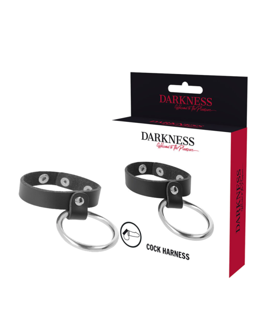 DARKNESS - METAL RING FOR THE PENIS AND TESTICLES