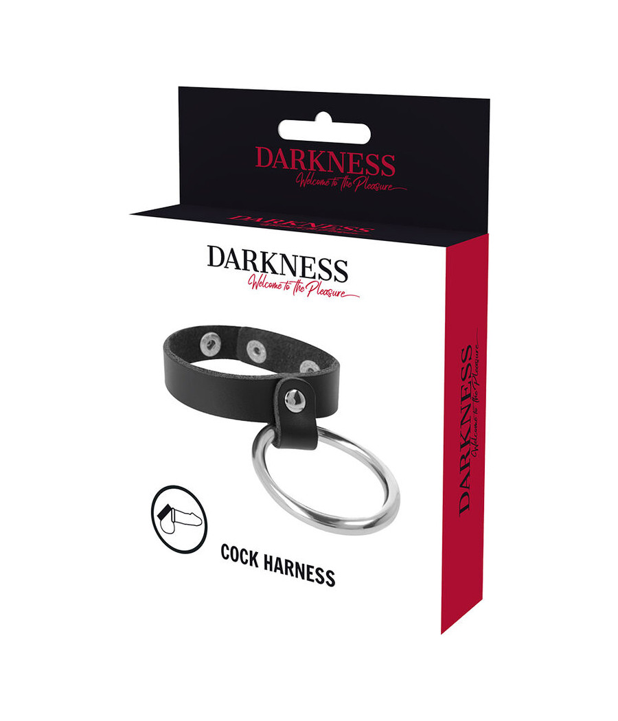 DARKNESS - ANILLO DE METAL PARA EL PENE Y TESTÍCULOS