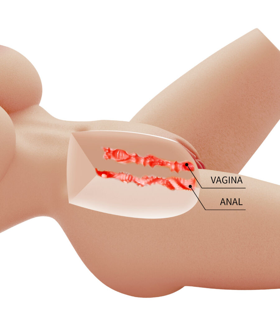 CRAZY BULL - LILY REALISTISCHER WEIBLICHER TORSO VAGINA UND ANAL 4 KG