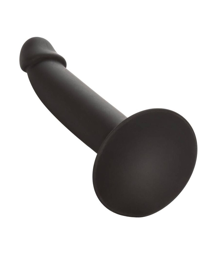 CALEXOTICS - SLIM ANAL STUD