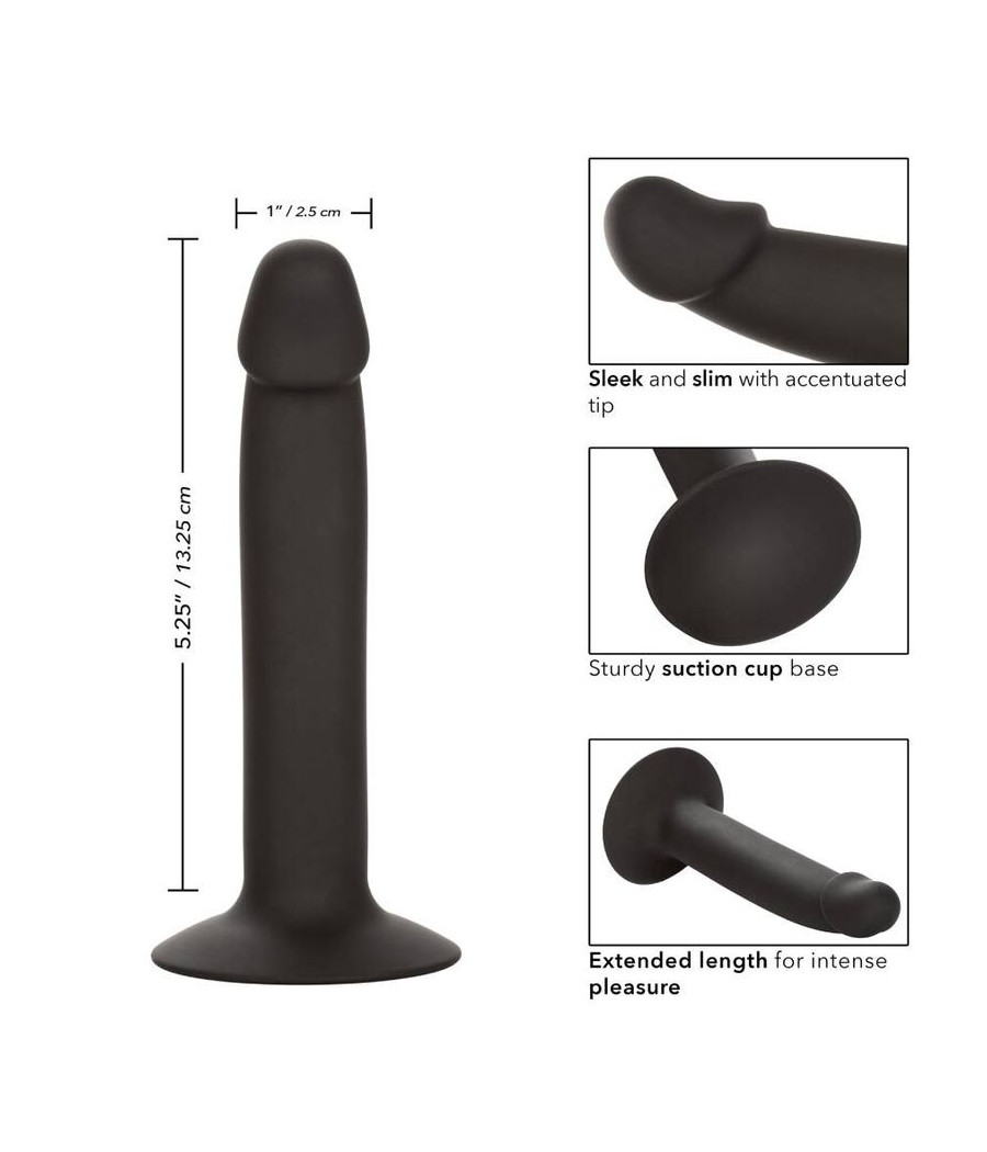 CALEXOTICS - SLIM ANAL STUD