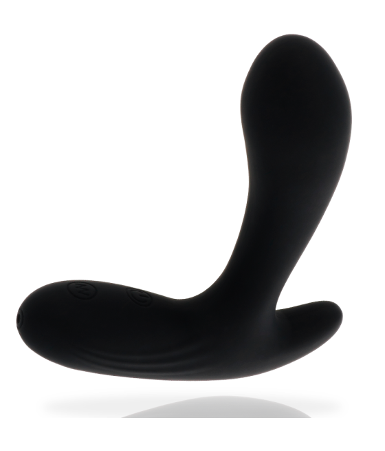 ADDICTED TOYS - ANAL MASSAGER SCHWARZE VIBRATION