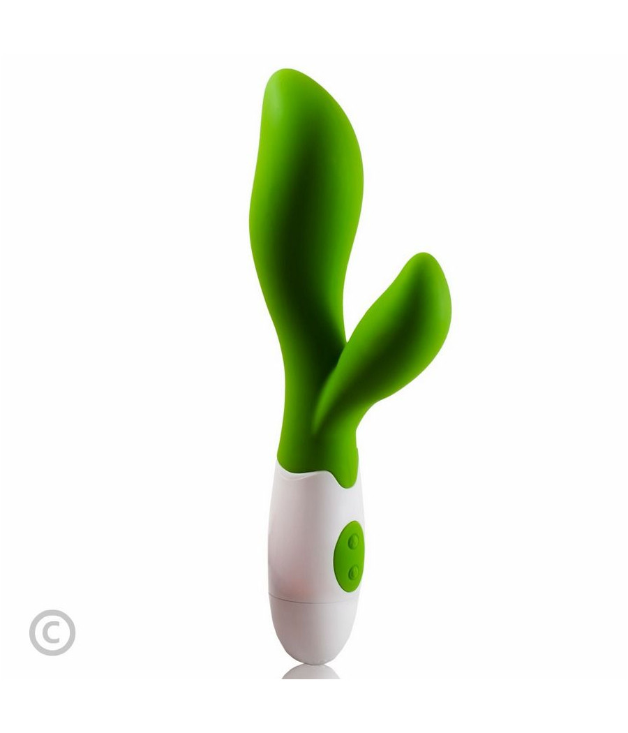 PRETTY LOVE - FLIRTATION VIBRATEUR OWEN VERT