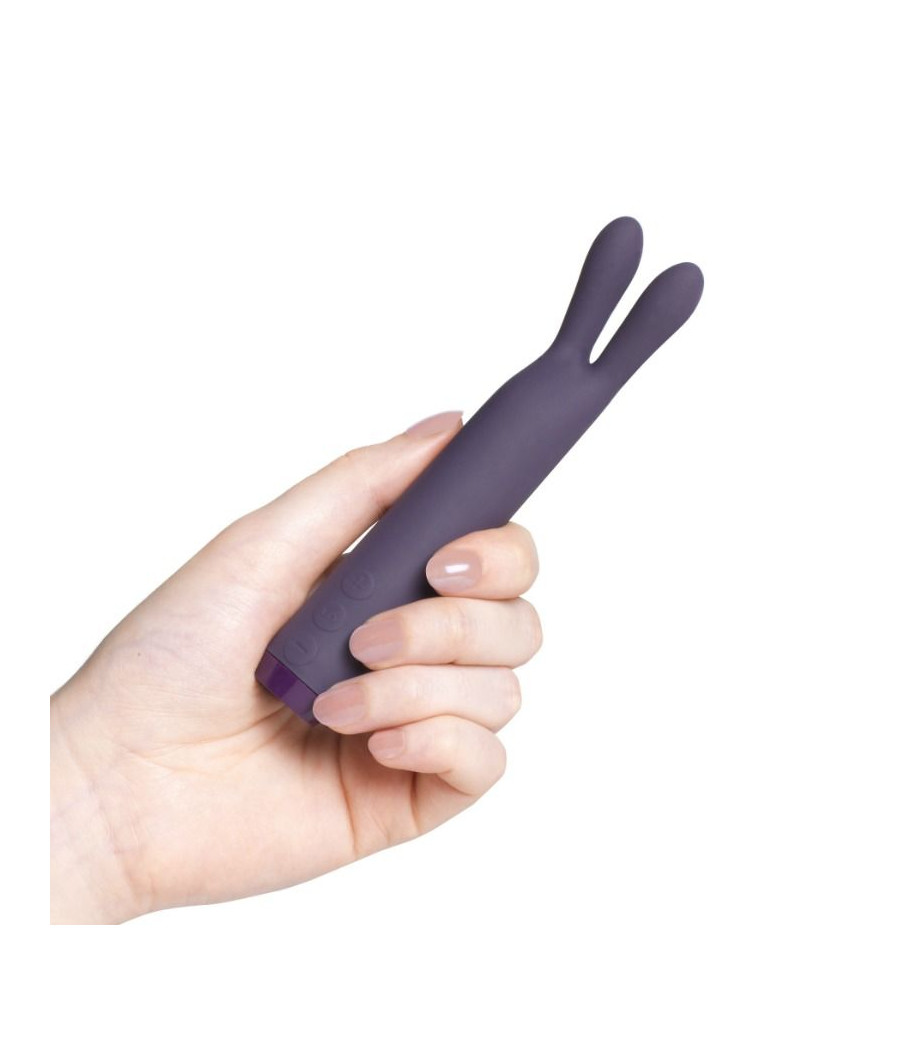 JE JOUE - BALLE VIBRANTE LAPIN VIOLET