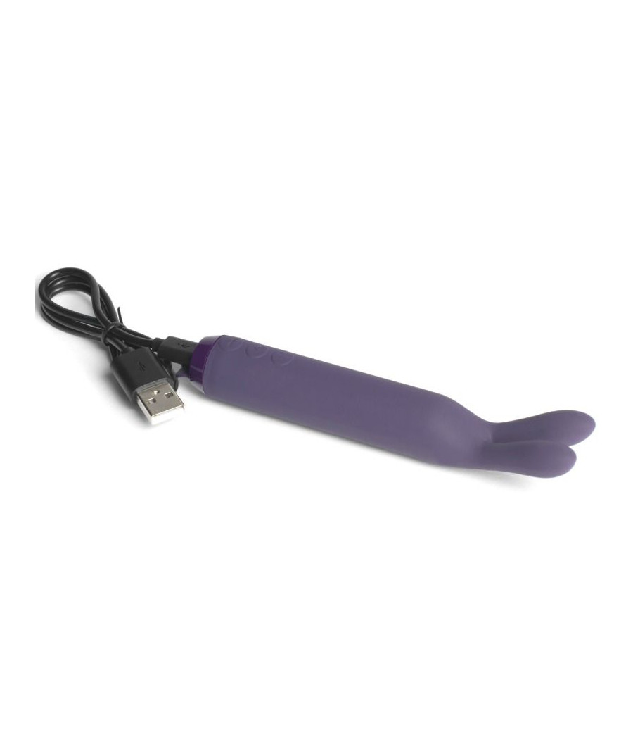 JE JOUE - BALLE VIBRANTE LAPIN VIOLET