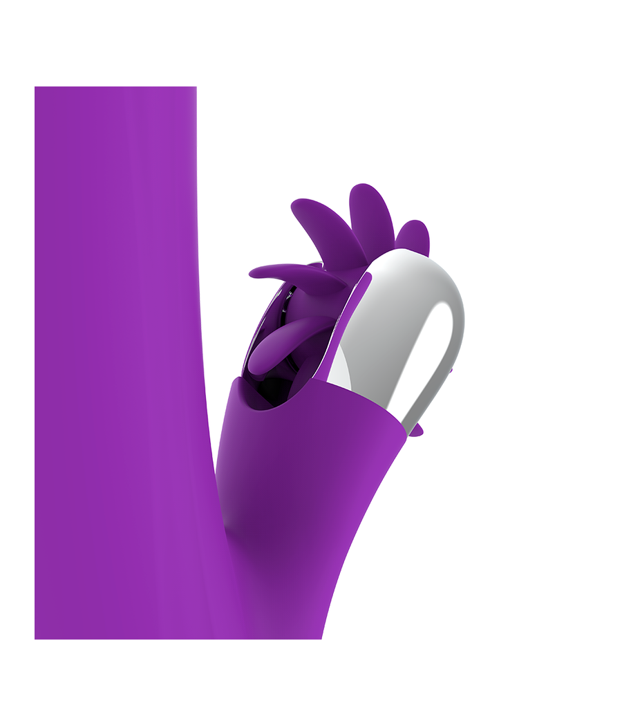 FUN FUNCTION - BUNNY FUNNY ROTATION 2.0