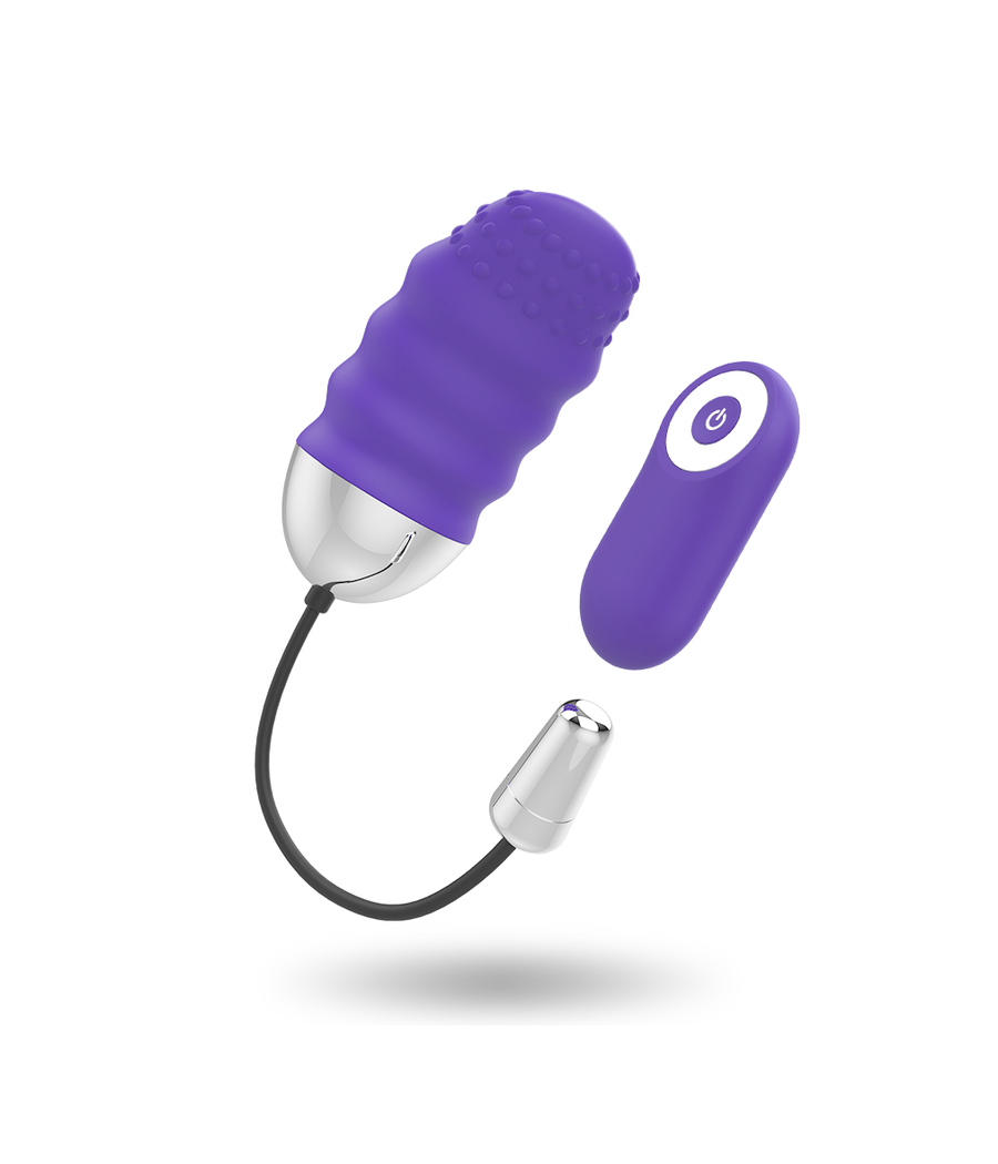 MR BOSS - DENIS EGG REMOTE CONTROL