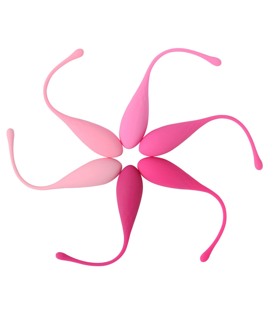 LESLIE - KEGEL FIT ENTREGADOR SUELO PELVICO 6 PESOS