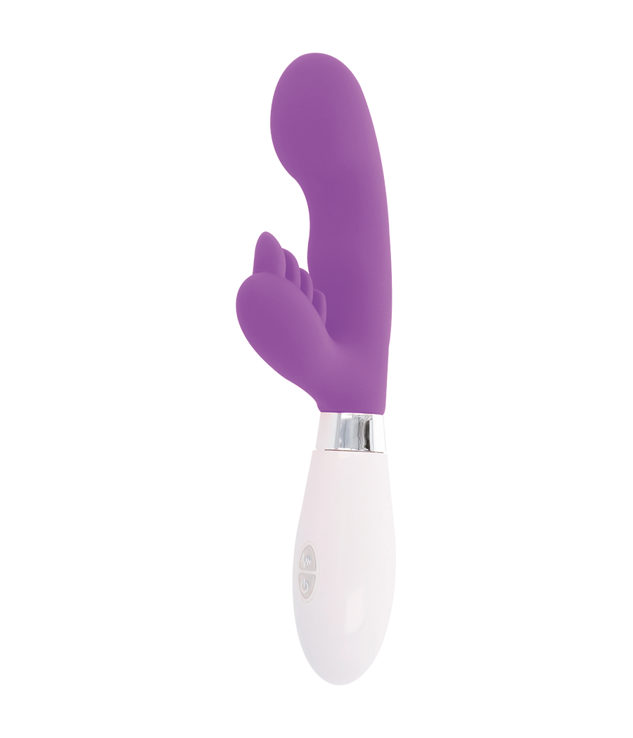 GLOSSY - COELHO ELVIS ROXO