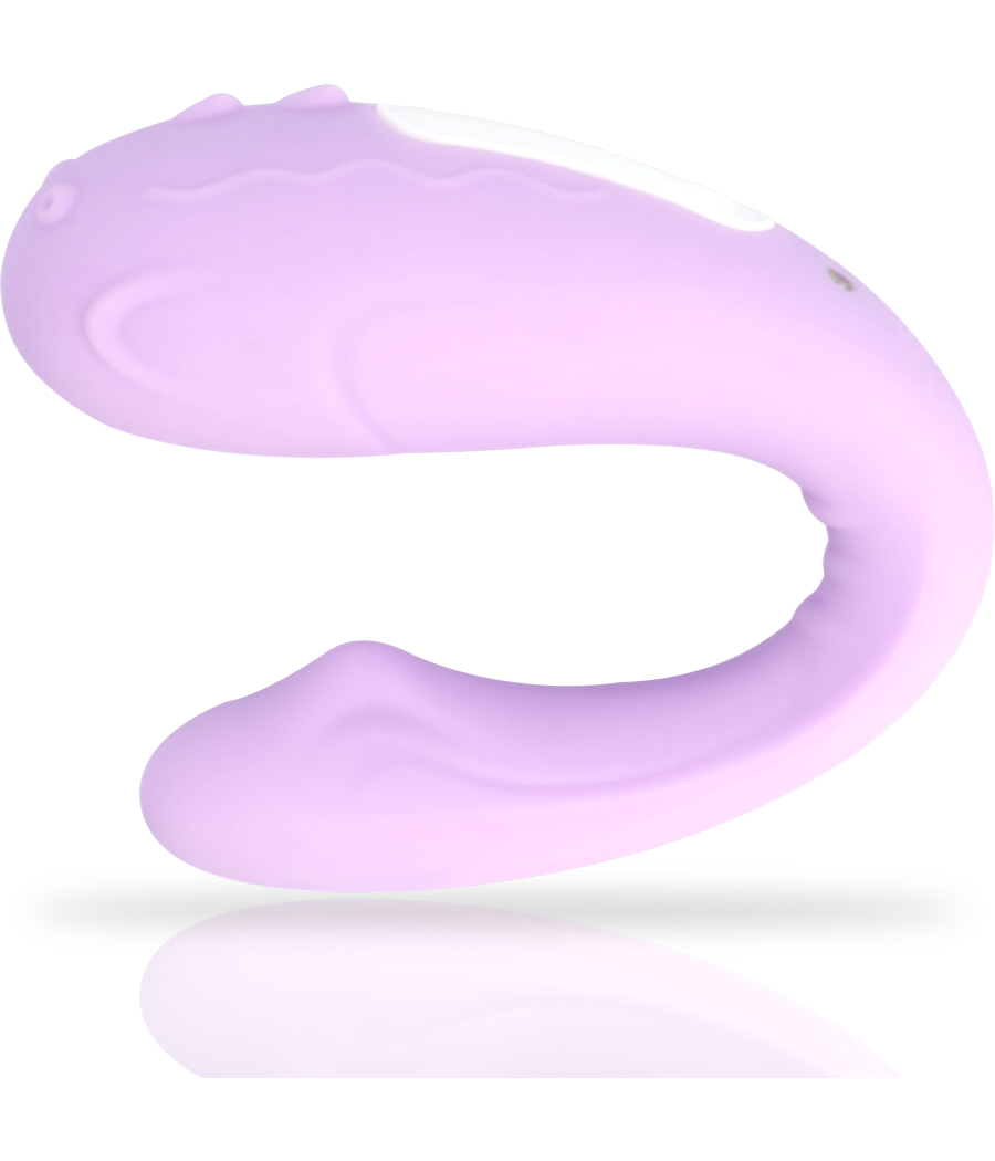 MIA - RIN REMOTE CONTROL PARTNER