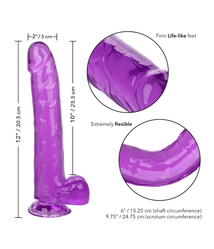 CALEXOTICS - DILDO REGINA TAGLIA VIOLA 25.5 CM