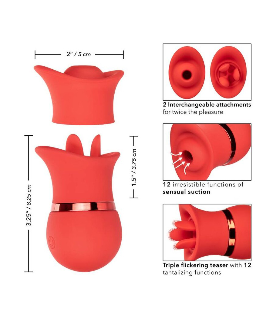 CALEXOTICS - BEIJO FRANCÊS CHUPAR E JOGAR CONJUNTO