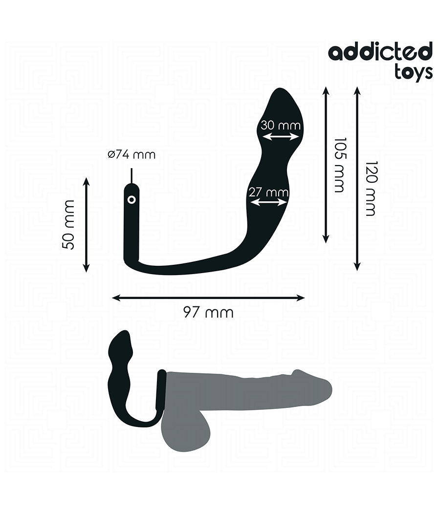 ADDICTED TOYS - ANALPLUG MIT RING MODELL 2