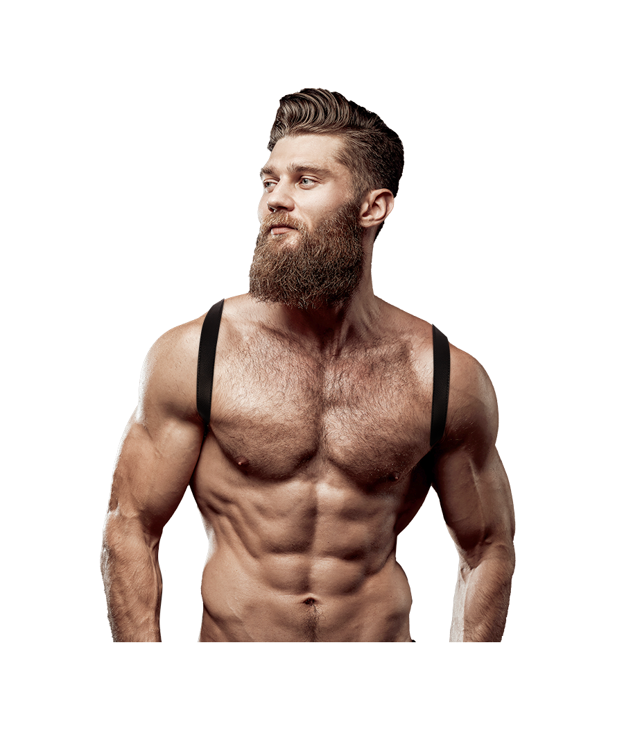 FETISH SUBMISSIVE ATTITUDE - ARREIO DE COSTAS DE COURO ECOLÓGICO MASCULINO