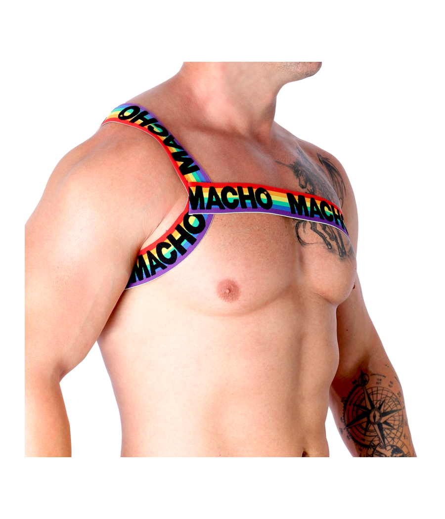 MACHO - RÖMISCHES GESCHIRR PRIDE S/M