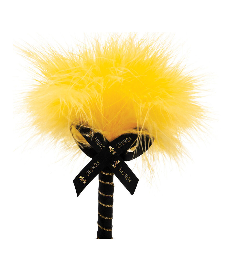 SHUNGA - EDIBLE MASSAGE POWDER KIT MANGO