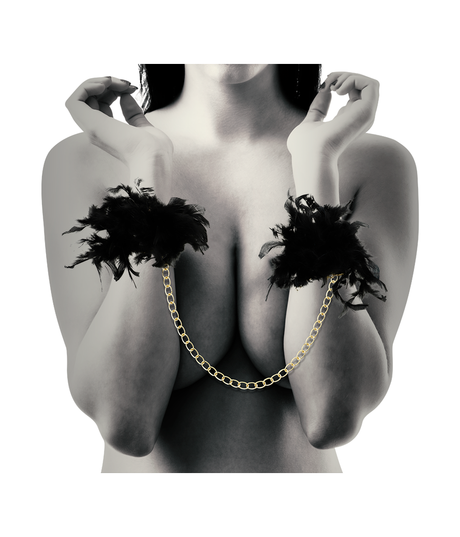 COQUETTE CHIC DESIRE - MENOTTES DE LUXE