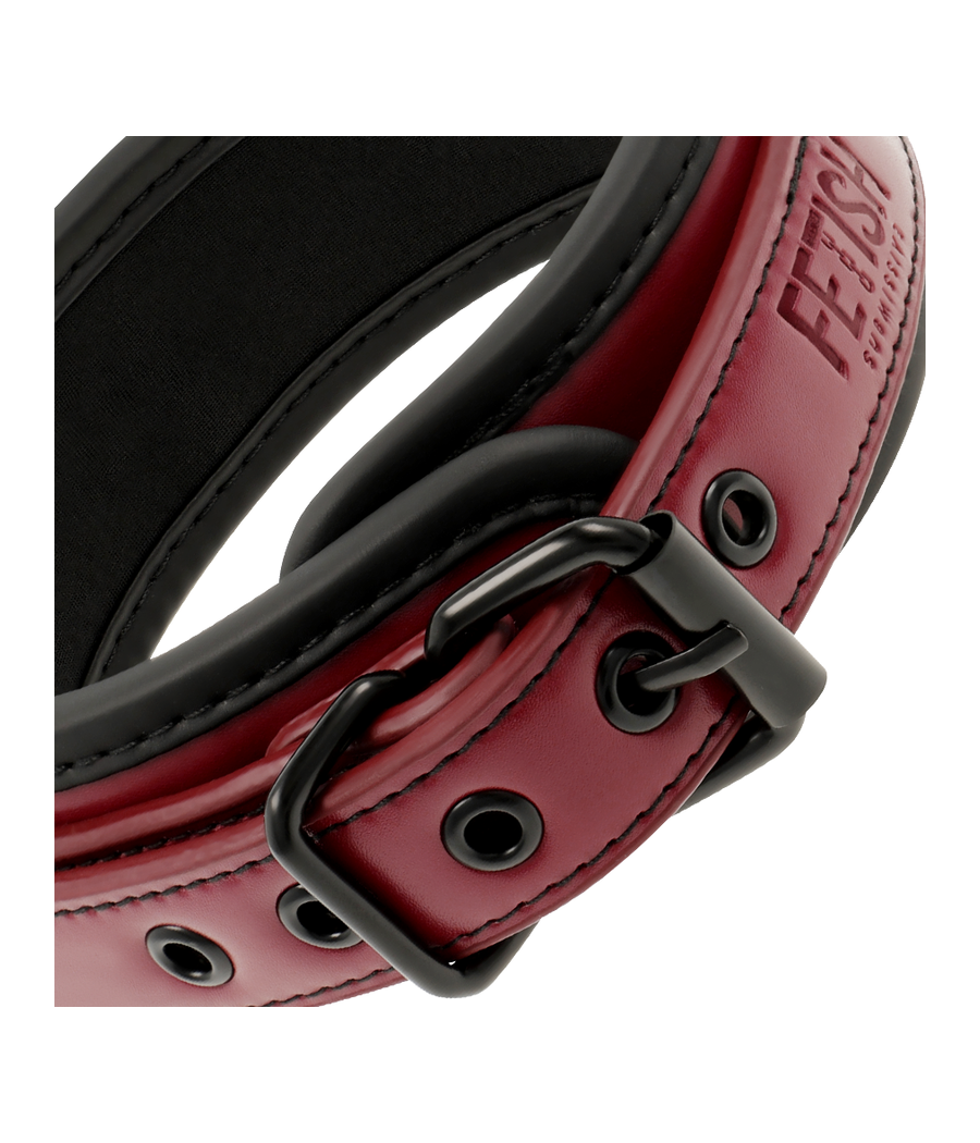 FETISH SUBMISSIVE DARK ROOM - COLLAR CON CADENA CON FORRO DE NEOPRENO