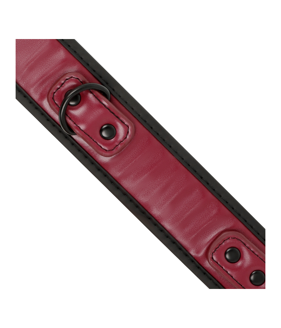 FETISH SUBMISSIVE DARK ROOM - COLLANA A CATENA CON FODERA IN NEOPRENE