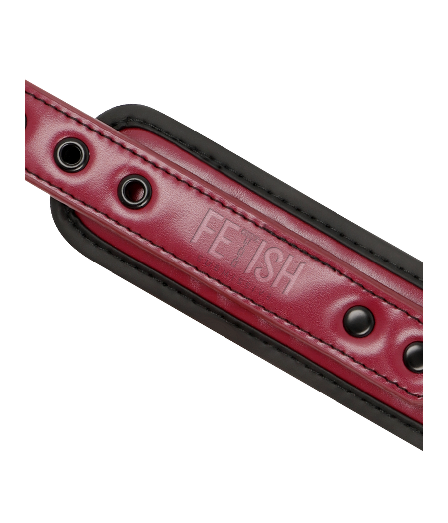 FETISH SUBMISSIVE DARK ROOM - COLLAR CON CADENA CON FORRO DE NEOPRENO