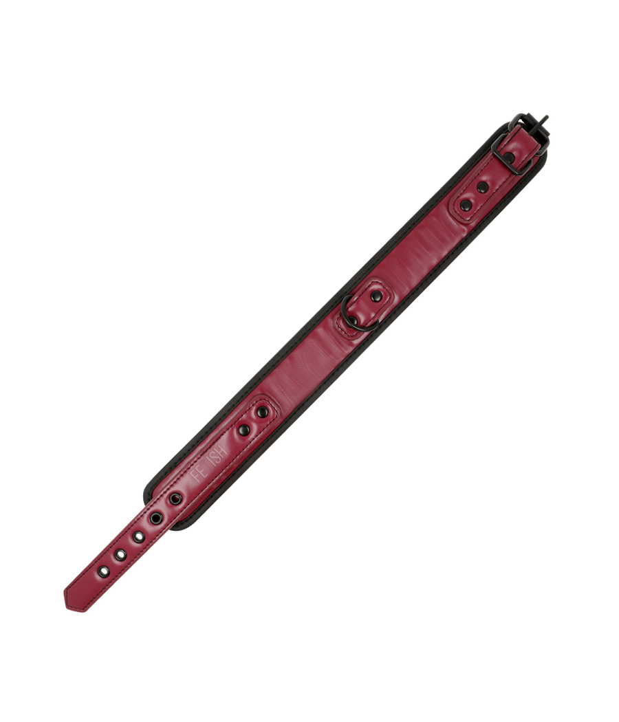 FETISH SUBMISSIVE DARK ROOM - COLLAR CON CADENA CON FORRO DE NEOPRENO