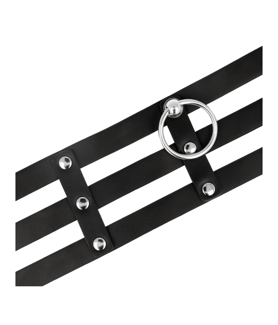 COQUETTE CHIC DESIRE - VEGANES LEDER-HALSBAND IM FETISCH-STIL