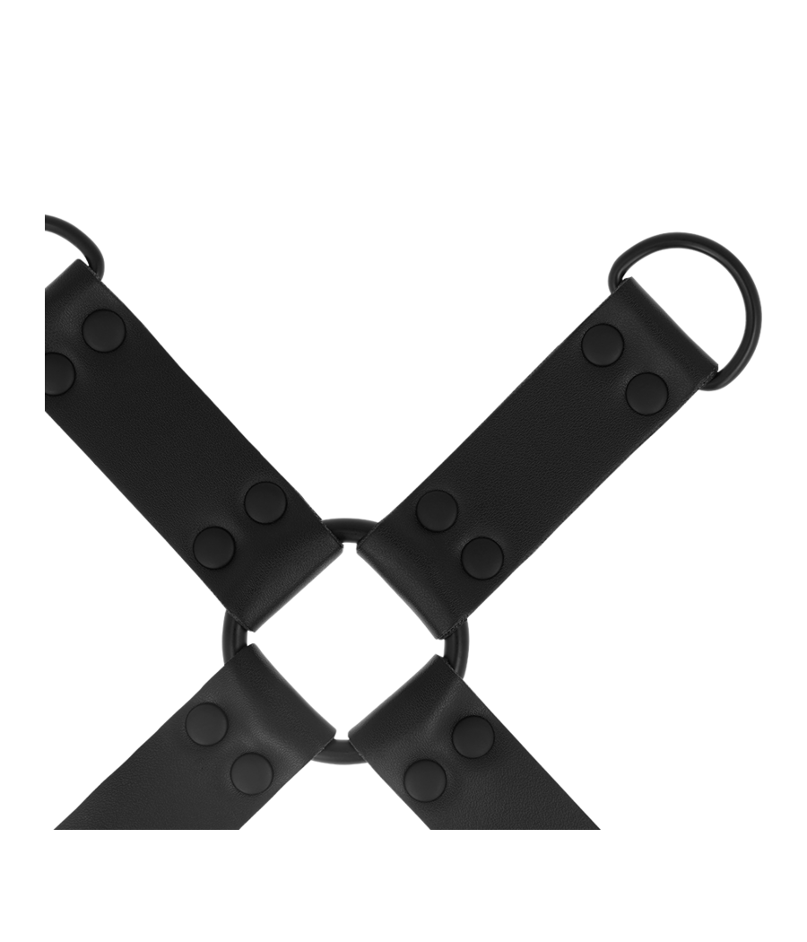 INTENSE - FETISH GRAVATA DE PORCO