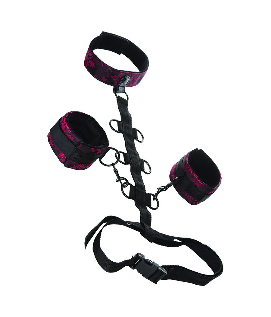 CALEXOTICS - SCANDAL SUPPORT COMPORAL  AVEC COU