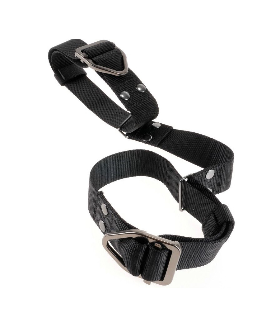 SIR RICHARDS - BEFEHL BIZEPS BENDER