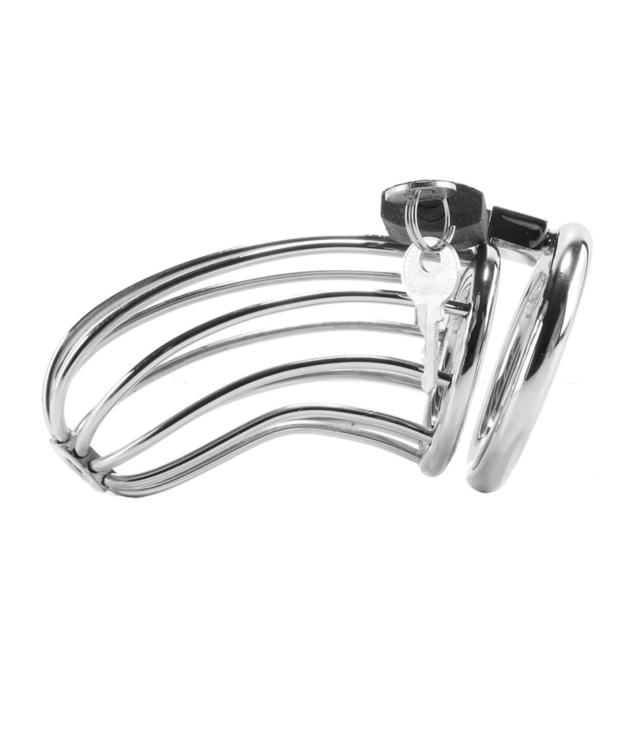 METAL HARD - BIRD CHASTITY RING CAGE