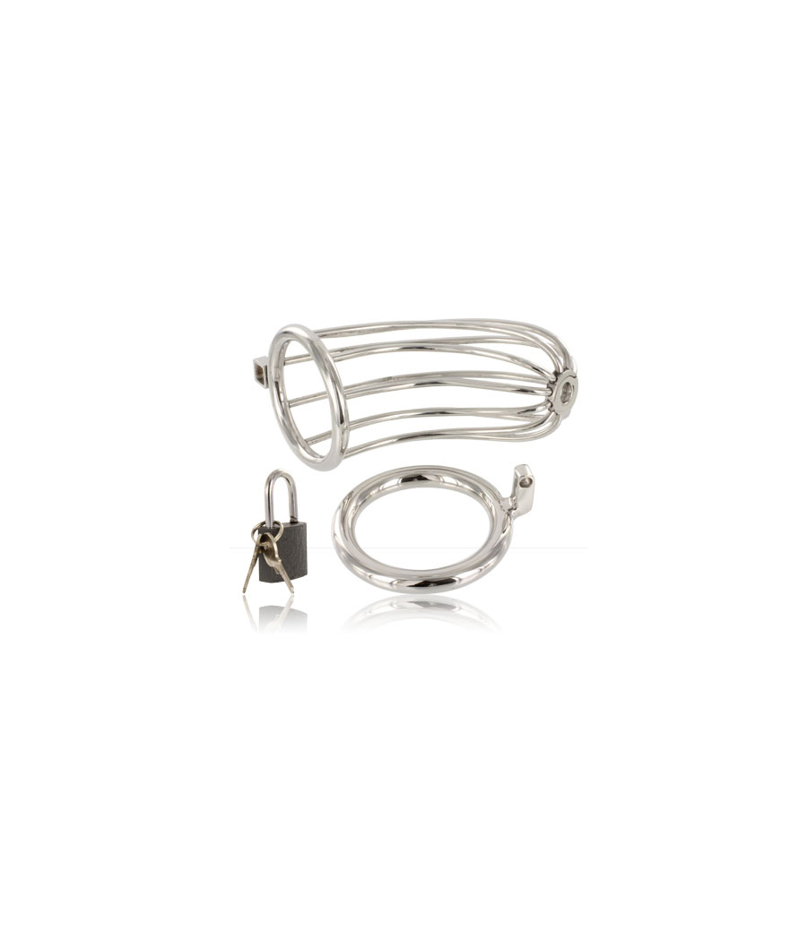 METAL HARD - BIRD CHASTITY RING CAGE