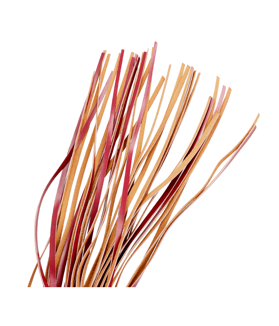 FETISH SUBMISSIVE DARK ROOM - VEGAN LEATHER WHIP