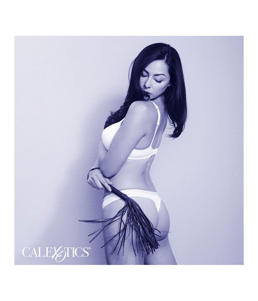 CALEXOTICS - NOCTURNAL FLOGGER LEDER SCHWARZ