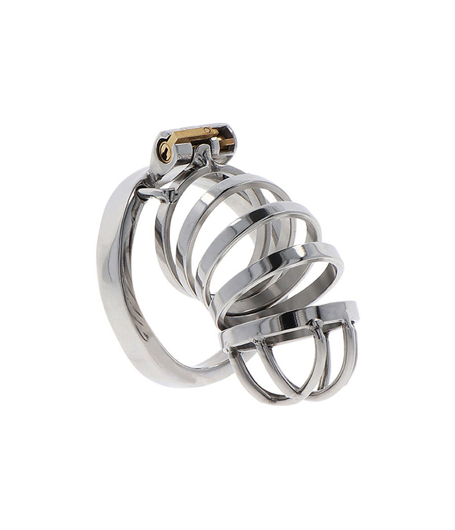 HIDDEN DESIRE - EXTREME CHASTITY COCK CAGE METAL