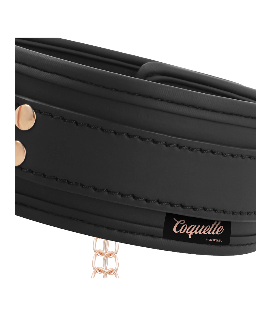 COQUETTE CHIC DESIRE - FANTASY COLLAR CON PINZAS PEZONES CON FORRO DE NEOPRENO