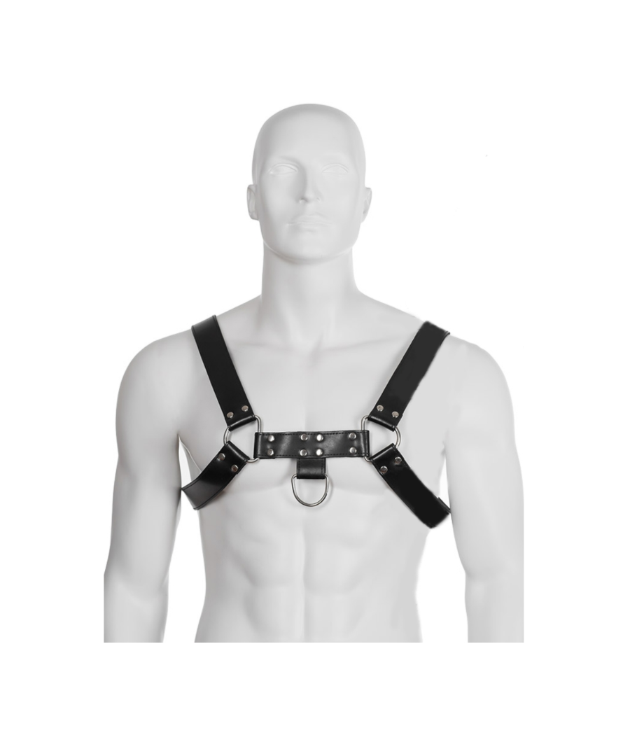 LEATHER BODY - HARNAIS  CHAÎNE III