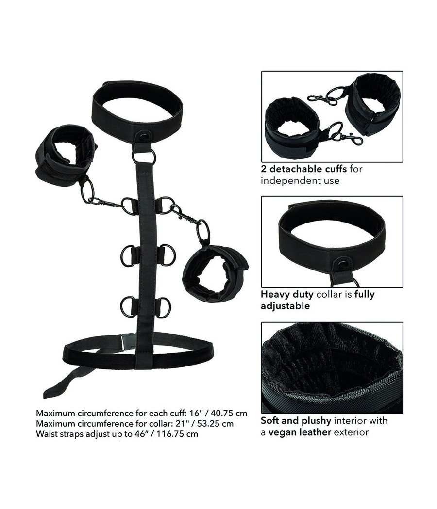CALEXOTICS - BOUNDLESS SUJECCIÓN DEL CUERPO Y EL CUELLO