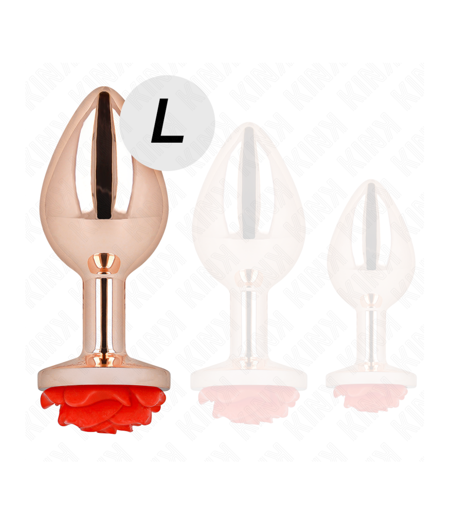 KINK - PLUG ANAL OR ROSE AVEC ROSE ROUGE L
