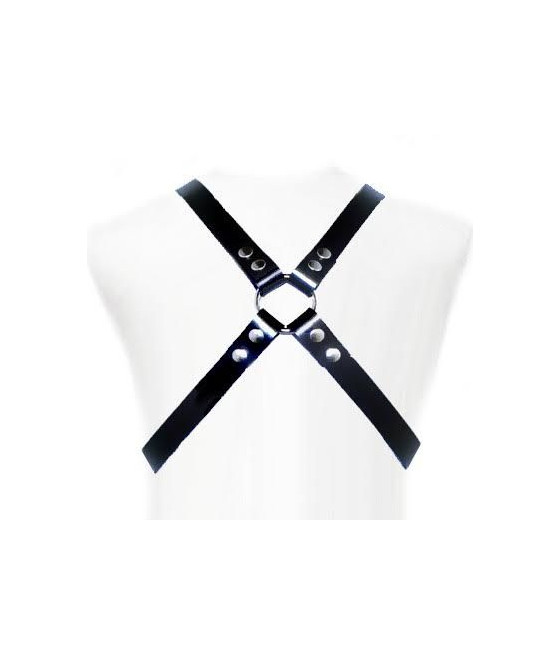 LEATHER BODY - BASIC HARNESS