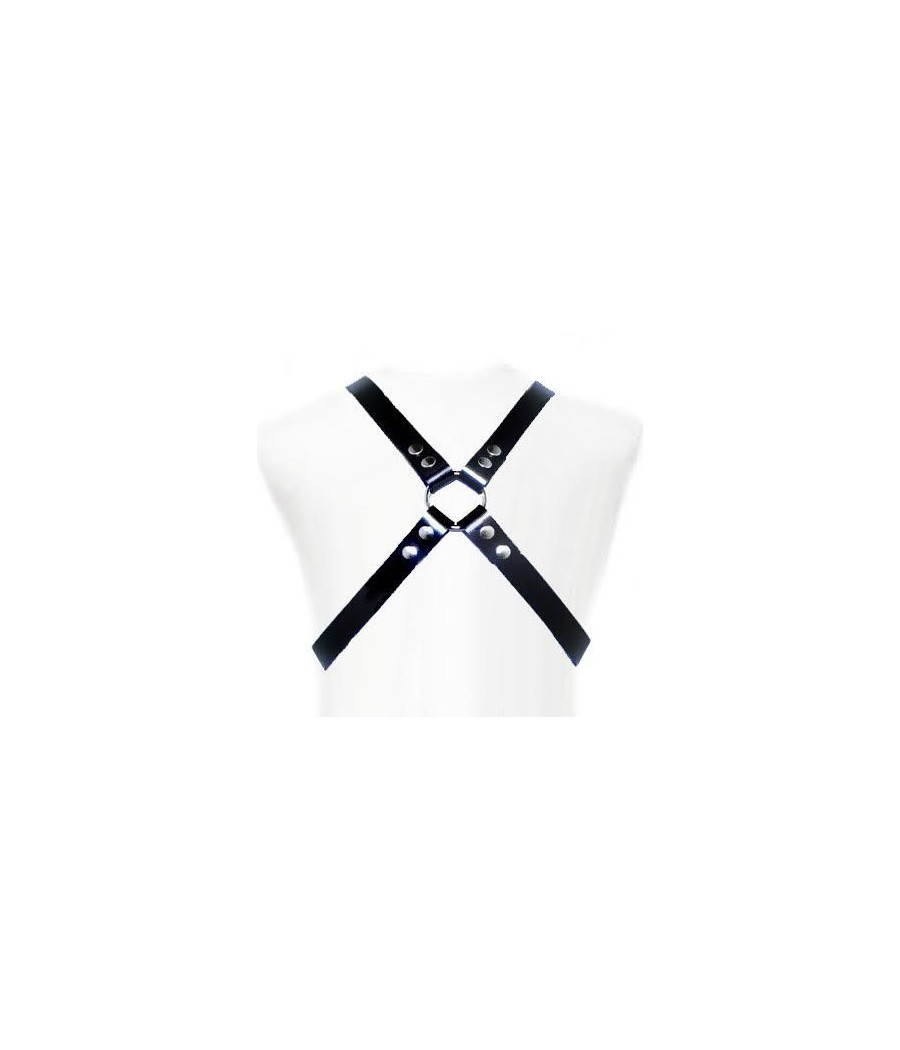 LEATHER BODY - BASIC HARNESS