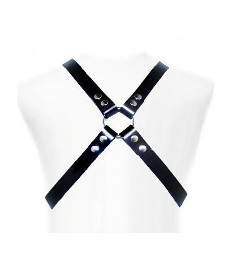 LEATHER BODY - BASIC HARNESS