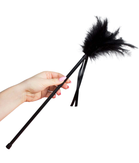 SECRETPLAY - PLUMES NOIRES 40 CM