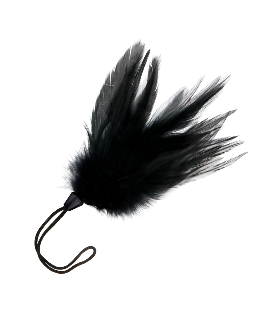 DARKNESS - PLUMA ESTIMULADORA NEGRO 17 CM