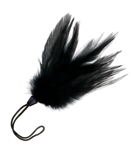 DARKNESS - PLUMA ESTIMULADORA NEGRO 17 CM